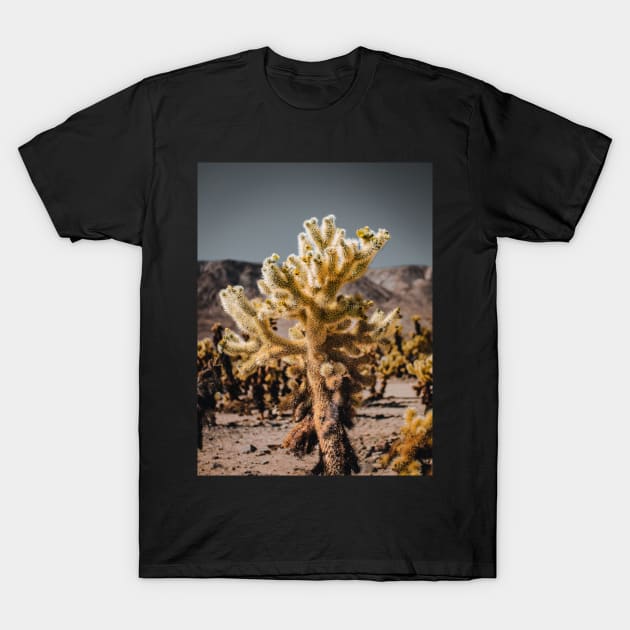 Cholla Cactus Photo from Joshua National Tree Park V2 T-Shirt by Family journey with God